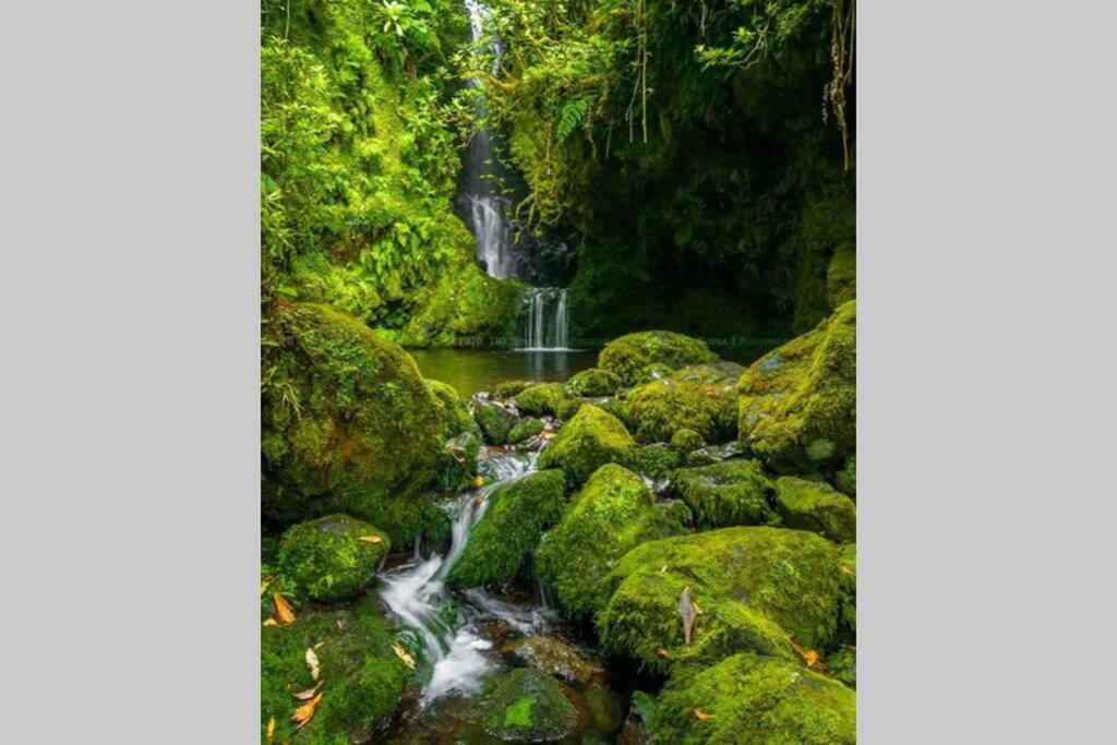 Funchal Center Apartment II エクステリア 写真